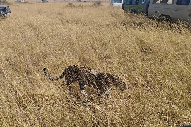 2 Days Adventurous Safari in Amboseli (Mid Range Tour) - Meeting the Maasai community