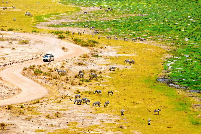 2 Days Amboseli Getaway Trip - Practical limits and weather concerns