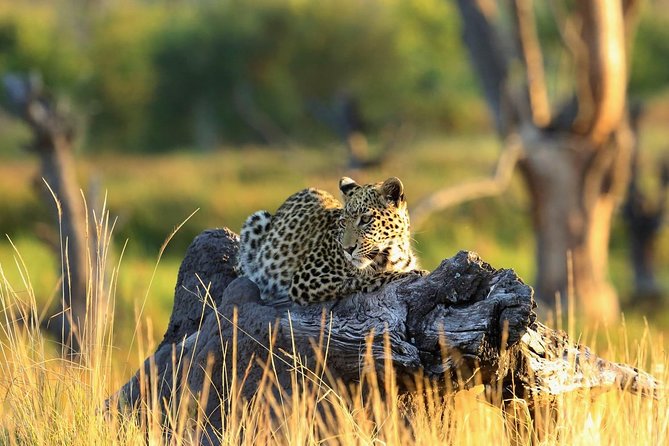 2 Days Amboseli National Park Safari - Key points before you book