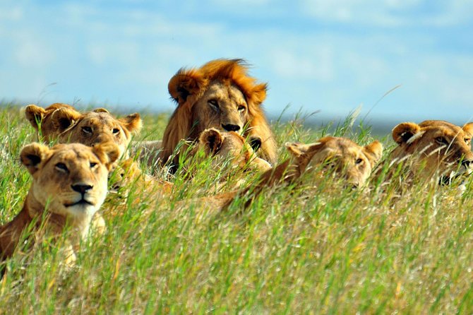 2 Days Amboseli National Park Safari - Why a two-day Amboseli safari works
