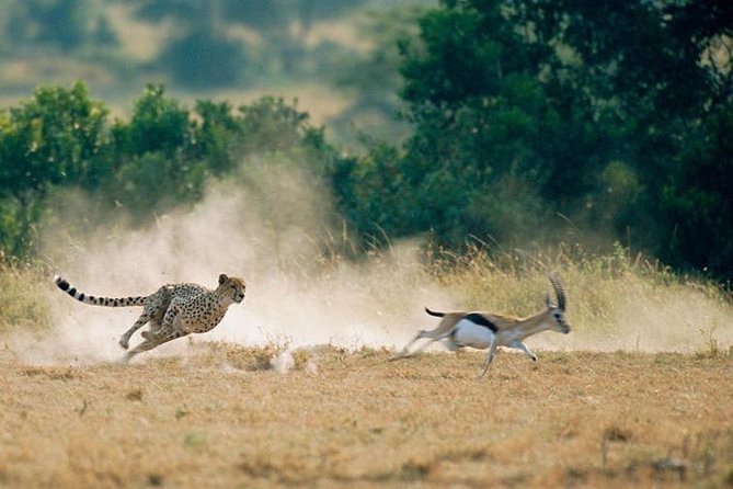 2 days Amboseli National Park Safari - Is $776 a fair price?