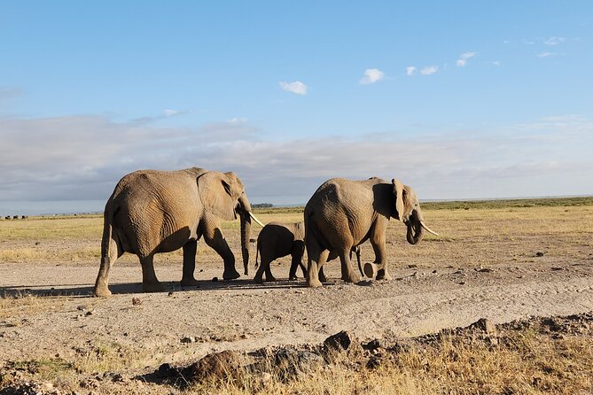 2 Days Amboseli Park Overnight Private Safari - Day one: arrival, lunch, and the 4 pm game drive