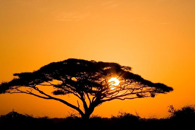 2 Days Amboseli Private Safari - Game drives across five habitats