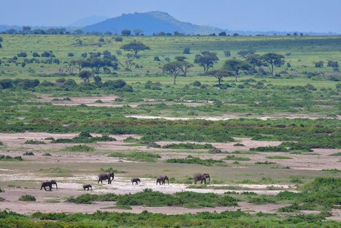 2 Days Amboseli Private Safari - Adding a Maasai village visit