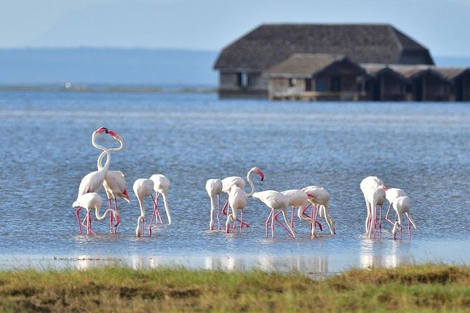 2 Days Amboseli Private Safari - The road into Amboseli