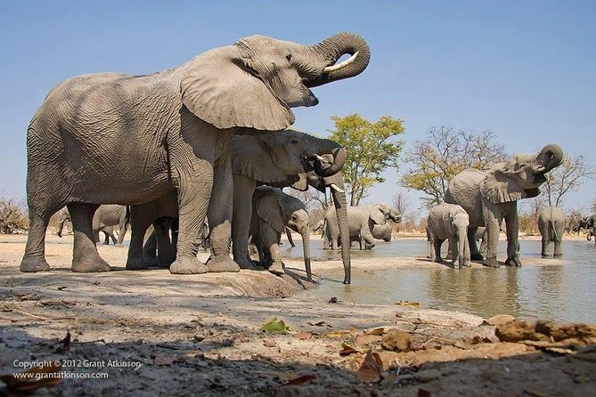 2 Days Amboseli Safari Adventure from Nairobi Classic Game Drives - Key things to know before booking