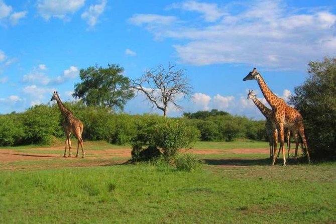 2 Days Amboseli Safari Adventure from Nairobi Classic Game Drives - Arriving at Amboseli National Park