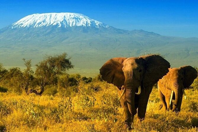 2 Days and 1 Night Amboseli Safari from Nairobi - Sleeping near the park after a full day