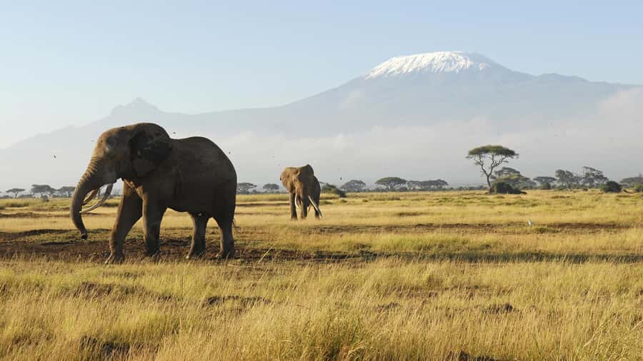 2 Days Group tour to Amboseli Using Landcruiser 4x4 Jeep - Key points at a glance