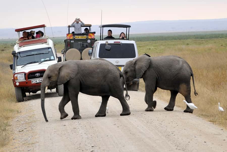 2 Days Group tour to Amboseli Using Landcruiser 4x4 Jeep - What the $270 price really covers