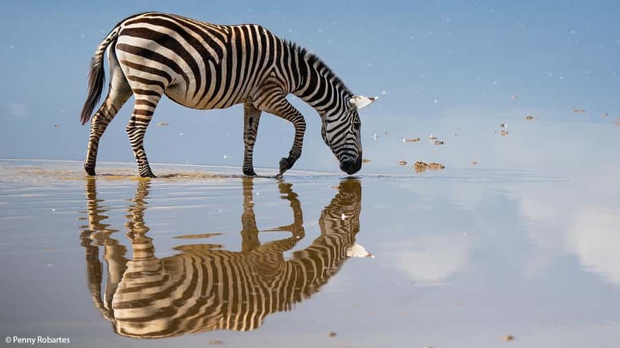 2 Days Group tour to Amboseli Using Landcruiser 4x4 Jeep - The 7:30 am drive from Nairobi