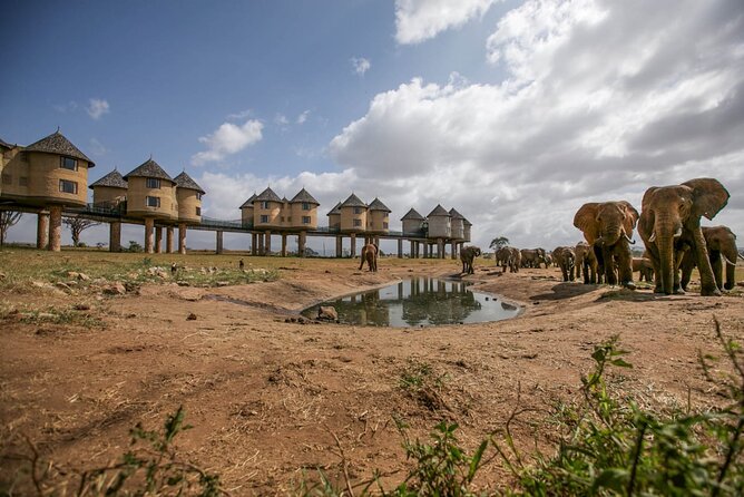 2 Days Kenya Safari special Tsavo East and Taita hills Saltlick from Mombasa - The 05:25 start from your hotel