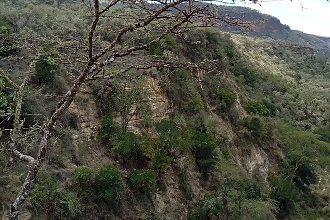 2 Days Private Tour to Lake Nakuru and Hell's Gate Park - Leaving Nairobi at 6:00 am for the Great Rift Valley