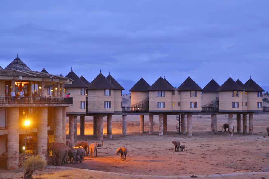 2 days Tsavo East and saltlick safari from Diani/Mombasa - The guiding and vehicle experience