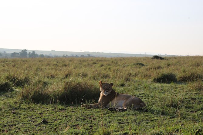 2 Days Tsavo East National Park Tour From Mombasa/Diani (1 Night) - The first Tsavo East game drive