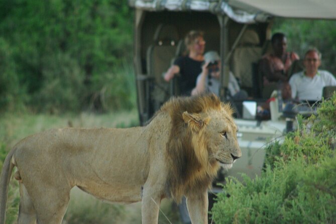 2 nights 3 days Masai Mara safari package - Why three days works well in the Masai Mara