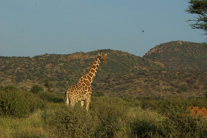 2 nights 3 days Masai Mara safari package - Practical questions to settle before departure