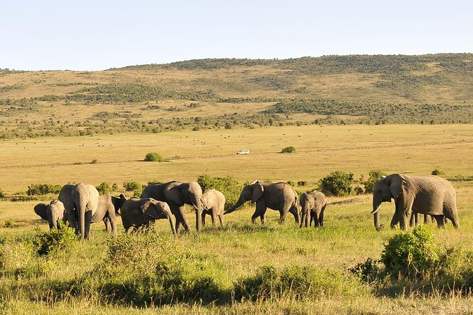 3 Day 2 Nights Maasai Mara Safari - Key points at a glance