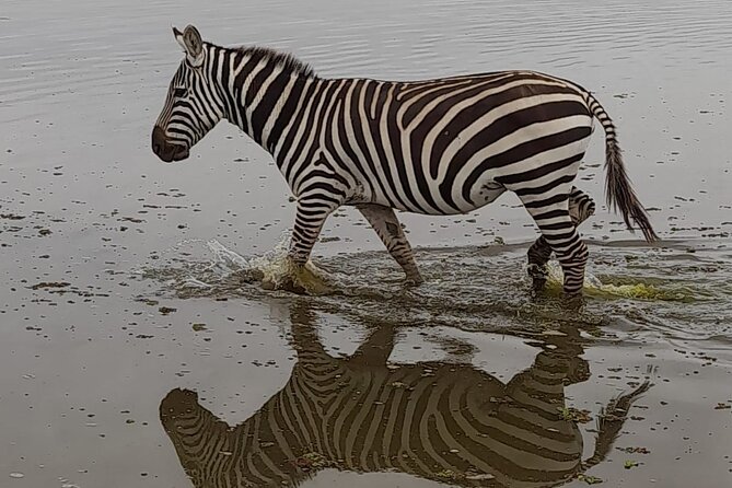 3-Day Amboseli Safari from Nairobi - What the $680 price includes