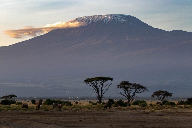 3-Day Amboseli Safari from Nairobi - How the schedule affects your comfort