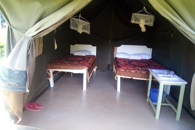 3-DAY Best Maasai Mara Safari (POPULAR) - Why three days works better than a quick Mara run