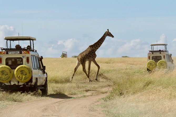 3-Day Budget Maasai Mara Joining Safari with 4x4 LandCruiser Jeep - Key points to know before you book