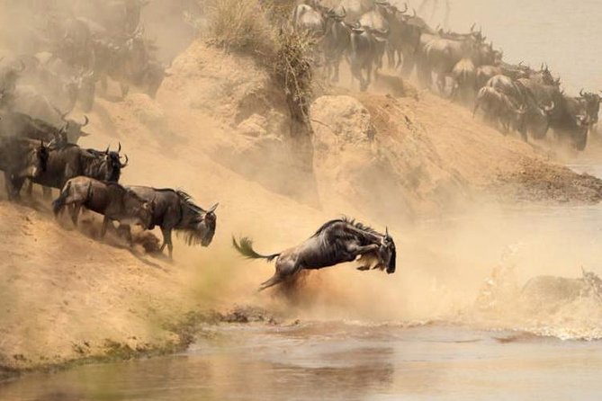 3-Day Budget Maasai Mara Joining Safari with 4x4 LandCruiser Jeep - Optional Maasai village visit for $20
