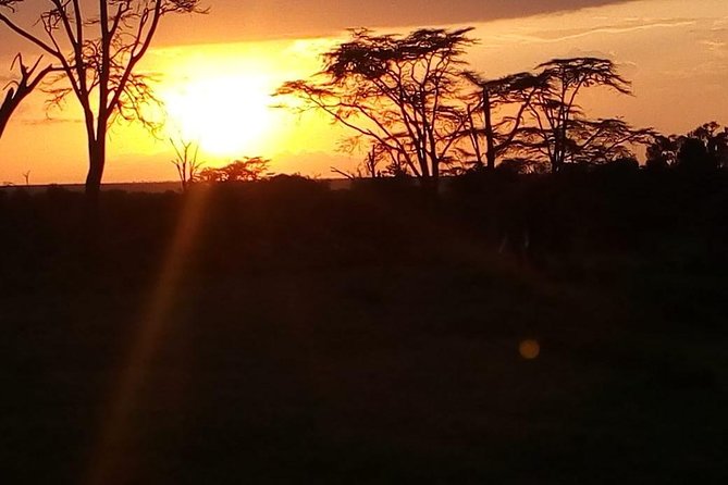 3-day Budget Safari To Maasai Mara - Why three days works well for Maasai Mara