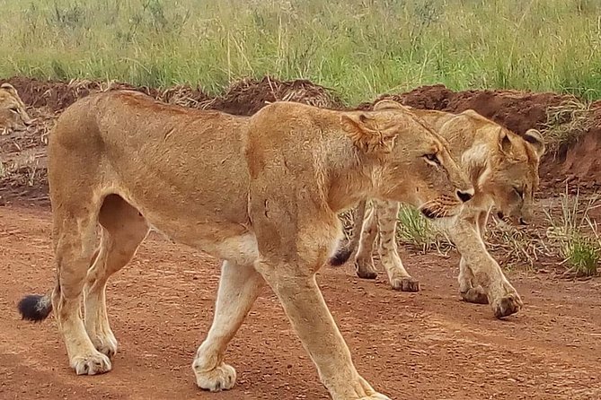 3-day Budget Safari To Maasai Mara - Meeting Maasai villagers