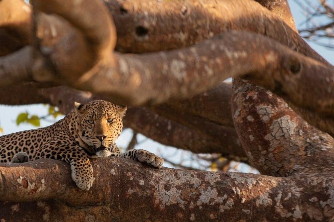 3-day Budget Safari To Maasai Mara - Leaving Nairobi and stopping at the Escarpment