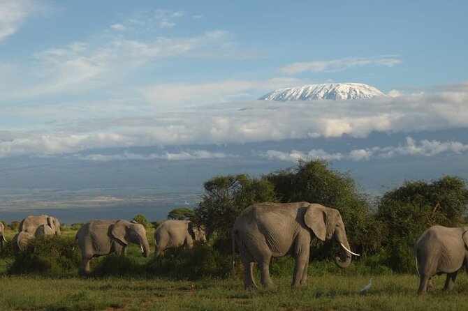 3 Day Exploring Amboseli National Park - Why Amboseli’s Kilimanjaro View Makes This Safari Special