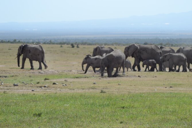 3-Day Group Safari in Masai Mara with Pick Up - What the group format means for your day