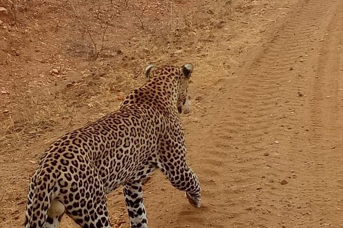 3 day maasai mara budget Camping Group safari - Nairobi to Maasai Mara, with a Great Rift Valley stop