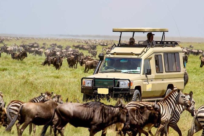 3 Day Maasai Mara Group Joining Camping Safari - Daily Departures - What camping adds to the Mara experience
