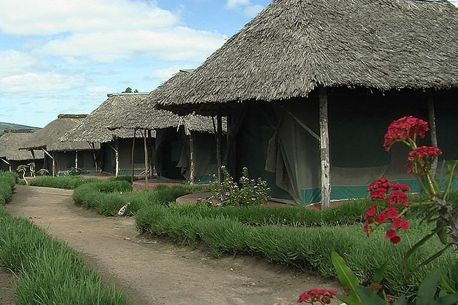 3 Day Maasai Mara Group Joining Camping Safari - Daily Departures - Guides can make or break the safari