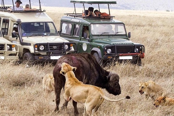 3 Day Maasai Mara Group Joining Camping Safari - Daily Departures - A Maasai village visit is optional