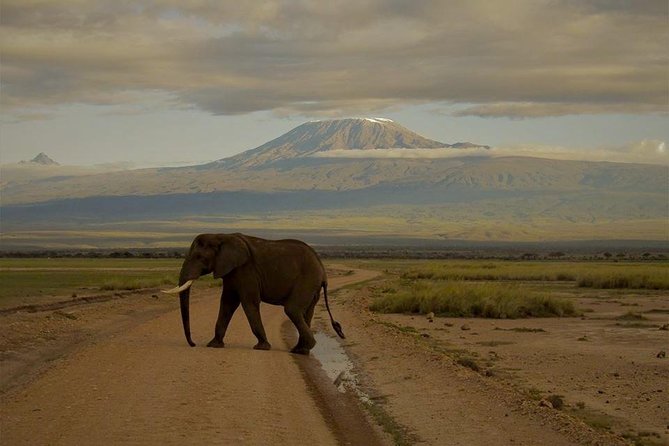 3-Day Maasai Mara Guided Safari From Nairobi - Why this safari appeals to budget-minded visitors