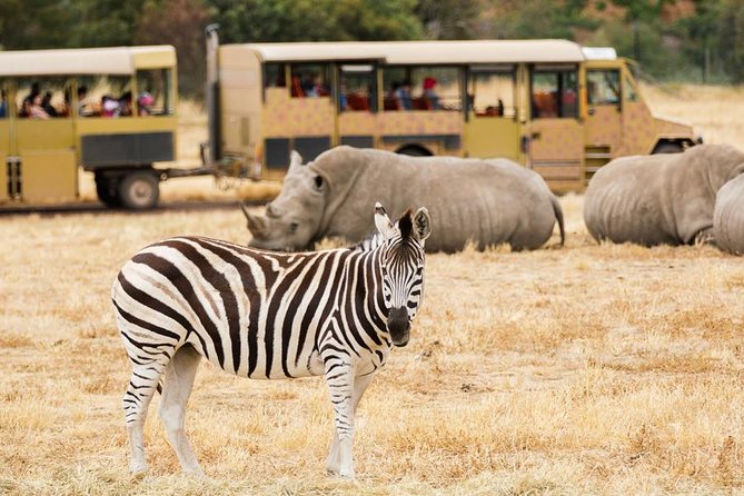 3-Day Maasai Mara Guided Safari From Nairobi - Day 3: A final morning and the long return to Nairobi