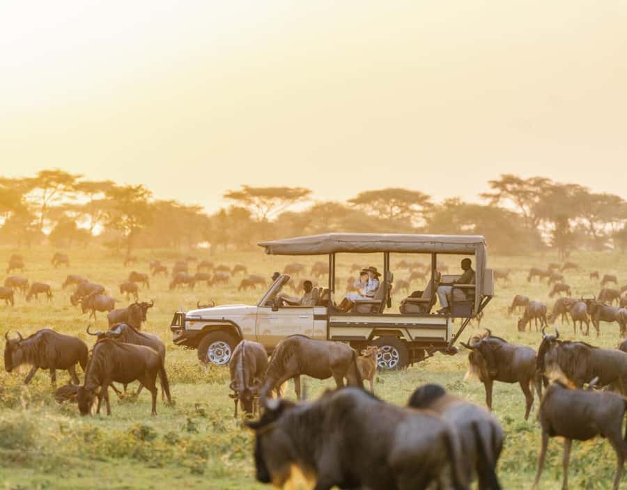 3-Day Maasai Mara Joining Safari at Enkorok Luxury Camp - What the $995 safari really includes