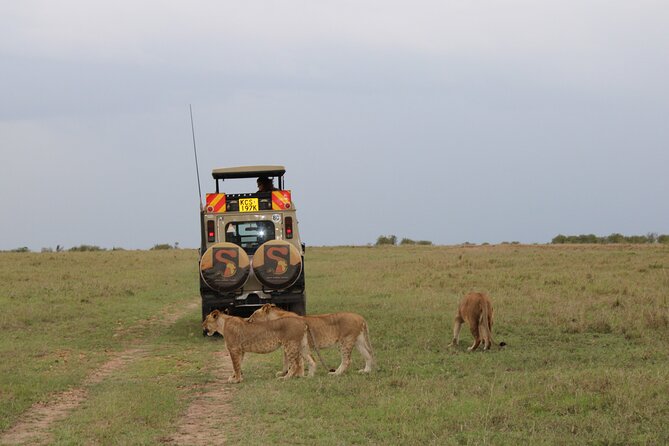 3-Day Maasai Mara Sharing Safari in a 4x4 Land Cruiser Jeep - Leaving Nairobi and reaching the Rift Valley viewpoint