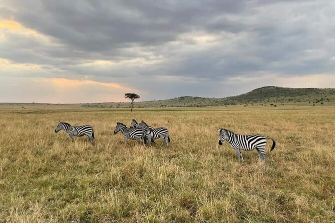 3-Day Masai Mara Group Joining Safari Adventure - Sleeping at Mara Lenchada Camp