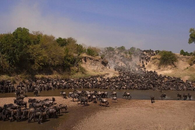 3-Day Masai Mara Group Safari with Pick Up - Key points to know before booking