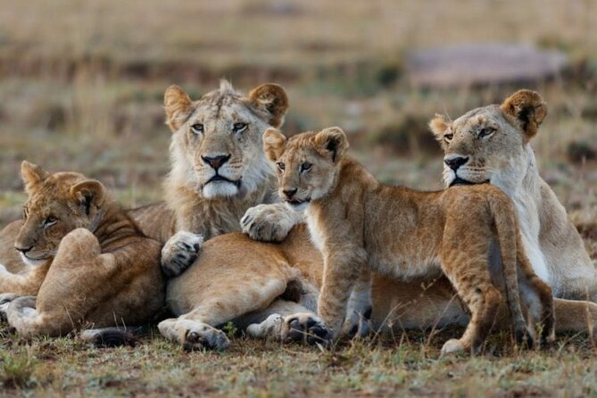 3-Day Masai Mara Jeep Safari - Leaving Nairobi at 8:00am for the Rift Valley