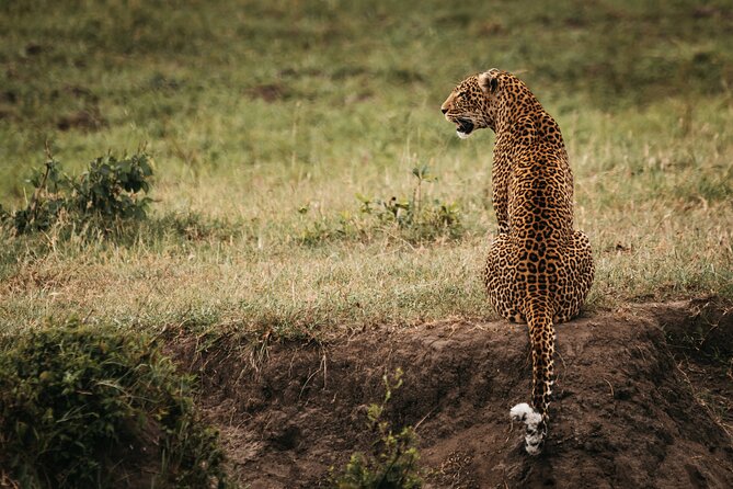3-Day Masai Mara Luxury Safari - What luxury means on this safari