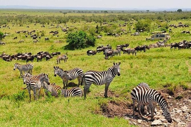 3-Day Masai Mara Safari Tour - The optional balloon safari