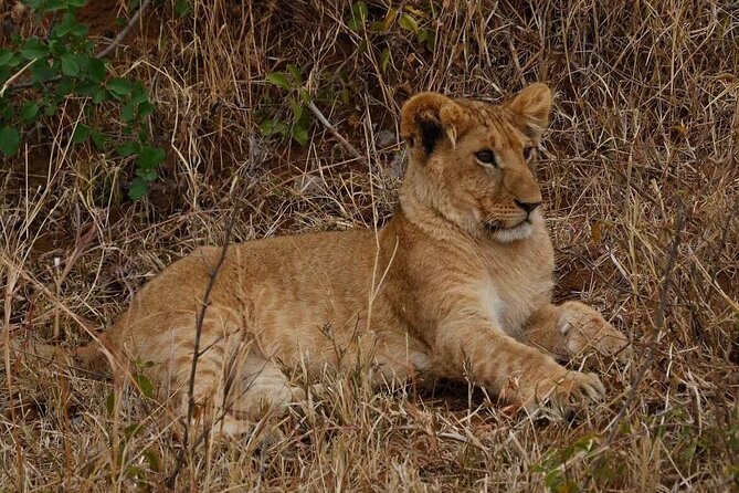 3-Day Masai Mara Safari Tour - Who will enjoy this safari most