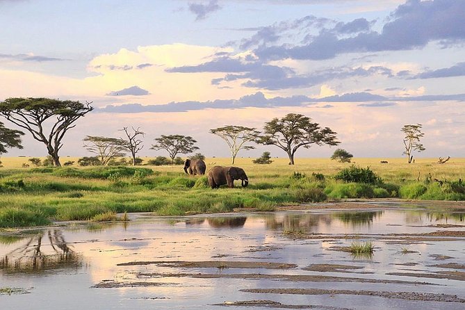 3-day Masai Mara Safari Tour to see the big five and wildebeest migration - Day three: an early start and the long return to Nairobi