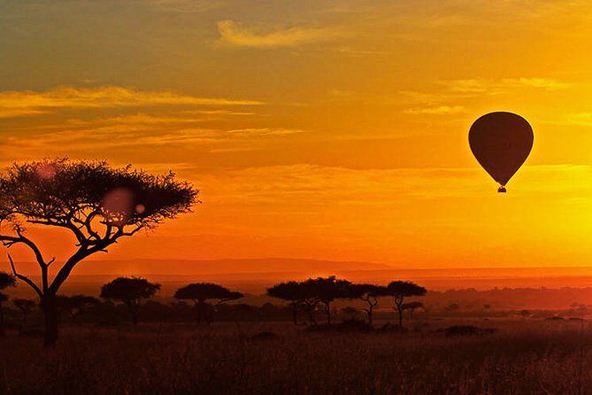 3-day Masai Mara Safari Tour to see the big five and wildebeest migration - What this safari does better than a longer plan