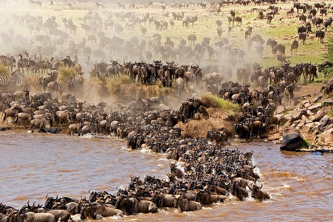 3-day Masai Mara Safari Tour to see the big five and wildebeest migration - Day one: Great Rift Valley views and a first game drive