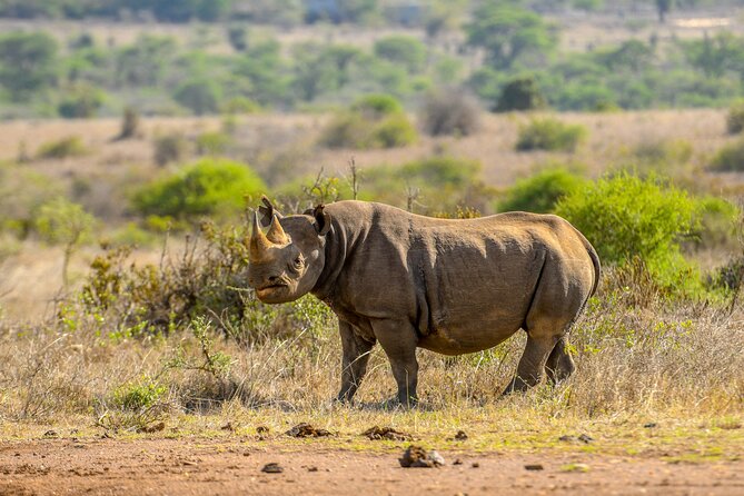 3-Day Masai Mara Wildebeest Migration 2025 - From Nairobi to the Great Rift Valley
